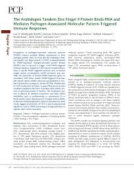 Maybe you would like to learn more about one of these? Https Academic Oup Com Pcp Article Pdf 55 2 412 17184697 Pct175 Pdf