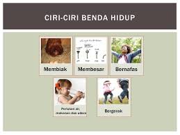 Video pengajaran dan pembelajaran ( sains ). Benda Hidup Dan Benda Bukan Hidup