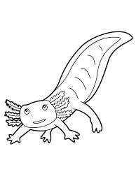 When it gets too hot to play outside, these summer printables of beaches, fish, flowers, and more will keep kids entertained. Salamander Coloring Pages Print Salamanders Are Amphibian And Close Relatives Of Frogs They Mostly Live In The N Animal Coloring Pages Coloring Pages Animals