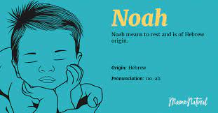Noah Name Meaning Origin Popularity Boy Names Like Noah Mama Natural