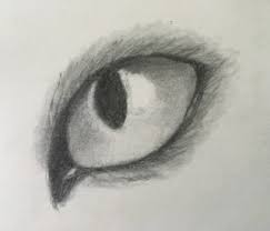 Here are some of our closest relatives. How To Draw A Cat Eye 7 Steps With Pictures Instructables