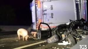 Un incidente mortale in provincia di parma è costato la vita a un giovane campano di 28 anni, originario di torre annunziata. Autostrade Giornata Nera Incidenti In A1 E A14 Incendio In A12 Code E Maiali