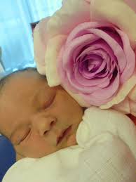 Paulina wallner (born kunart) was born in month 1865, at birth place, illinois, to frederick kunart and johanne rosina kunart (born eppert). Klinik In Schladming Portfolio Categories Baby Weiblich