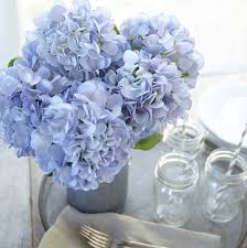 Maybe you would like to learn more about one of these? Blue Artificial Hydrangea Silk Flowers For Wedding Bouquet Flower Arrangements Blue Colour 5 Stems Per Bundle Artificial Flowers Amazon Com Au