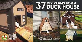 By visiting our website, you've taken the right step towards your dream home! 37 Free Diy Duck House Coop Plans Ideas That You Can Easily Build