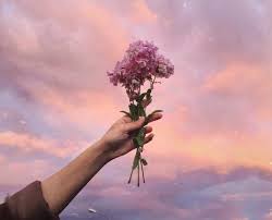 I want to share this ethereal pink sunset with you to remind you that we live in a world where amazing things can happen. Sunset Pink And Aesthetics Image 6440689 On Favim Com