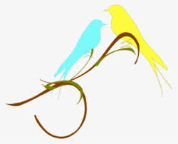 Lovebird png hd transparent lovebird hd png images pluspng. Burung Dara Vector Transparent Png 500x617 Free Download On Nicepng