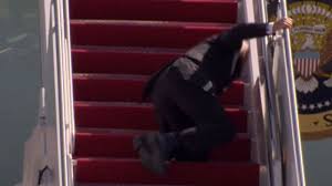 Image result for Bidens steppia