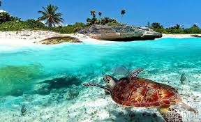 С другими видами развлечений на занзибаре вы сможете ознакомиться в нашей новой статье. Zanzibar Opisanie Ostrova Dostoprimechatelnosti Populyarnye Oteli Osnovnye Plyazhi