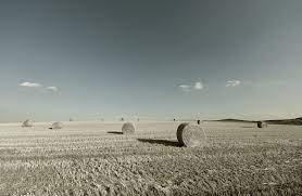 Die hitzewelle schlägt uns allen zu gemüte. Hitzewelle Joachim D Flickr