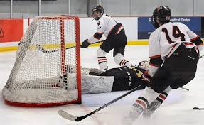 Wellesley defeated Needham, 4-1, in hockey season finale, Feb. 15, 2021