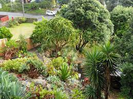 Check spelling or type a new query. The Ordinary Gardener