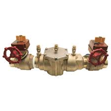 Double disc 2 in diameter check valves. Backflow Preventers