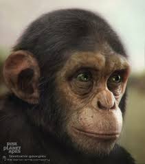 Джеймс франко, фрида пинто, джон литгоу и др. Artstation Rise Of The Planet Of The Apes Concept Tsvetomir Georgiev