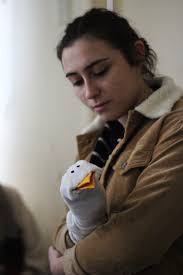 🦉 Owl & the Albatross