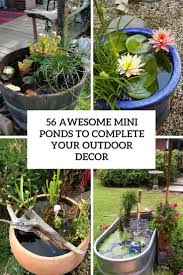 Waterside plants are the first zone and grow around the edge of the pond. 56 Awesome Mini Ponds To Complete Your Outdoor Decor Digsdigs