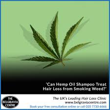 Can help increase muscle strength. Belgravia Centre On Twitter Can Hemp Oil Shampoo Combat Hair Loss From Smoking Weed Your Questions Answered By Belgravia Hair Specialists Https T Co Igronlav1w Hairloss Hairgrowth Belgraviacentre Hemp Hempoil Haircare Hempshampoo 420