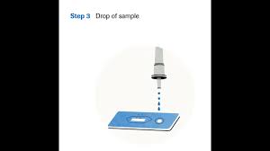 Coronavirus ag rapid test cassette (swab) zhezhiang orient gene biotech co., ltd. Roche Sars Cov 2 Rapid Antigen Test Mode D Emploi Gebruiksaanwijzing Gebrauchsanweisung Youtube