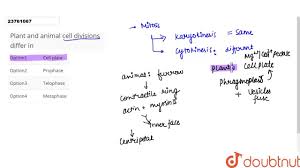 How does plant cell division differ from animal. Plant And Animal Cell Divisions Differ In