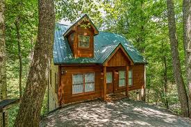 Fallin In Love Value 1 Bedroom Gatlinburg Cabin Rental Cabin Gatlinburg Cabin Rentals Gatlinburg Cabins