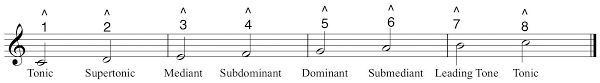 The seventh tone of a scale, a half tone below the tonic | meaning, pronunciation, translations and examples. The Foundations Scale Steps And Scales