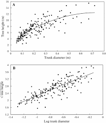 Image result for Phragmanthera dschallensis
