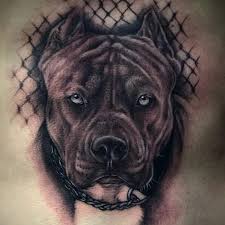 Pin On Tattoo Ideas