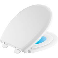 At the same time, they also produce just about any other. 833902 N Wh Delta Sanborne Elongated Toilet Seat Reviews Wayfair