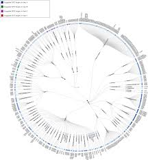 Check spelling or type a new query. G Protein Coupled Receptors Structure And Function Based Drug Discovery Signal Transduction And Targeted Therapy