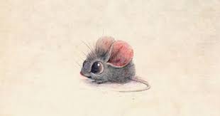 Mouse Art Print Animal Art Art Cute Drawings