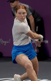 Image result for Seidelia