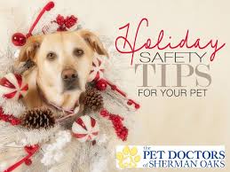 Check spelling or type a new query. The Pet Doctors Thepetdoctorsso Twitter
