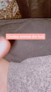 Down Syndrome Animal Special Needs Animals Tiktok Watch Down Syndrome Animal S Newest Tiktok Videos