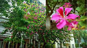 We did not find results for: Pin On Key West Hometown 90 Miles From Cuba