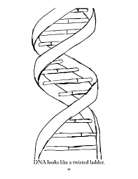 How do i add custom colors to a dna sequence? Dna Coloring Page