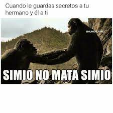 Secretos. Hermanos. | Imágenes humorísticas, Memes, Hermanas