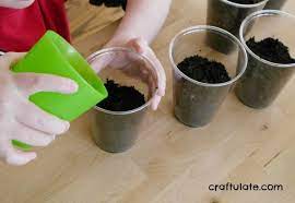 When your child starts kindergarten around age five, make sure home and child care activities include learning numbers, letters, and simple directions. Fast Growing Seeds For Kids Craftulate