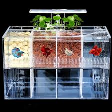 Led Light Acrylic Clear Aquarium Mini Betta Fish Tank Desktop Water Pump In 2020 Betta Fish Betta Fish Tank Baby Betta Fish