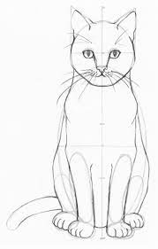 Digital methods of drawing are more advanced. How To Draw A Realistic Cat Step By Step Udemy Blog