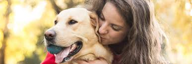 Brooklyn Park Pet Hospital