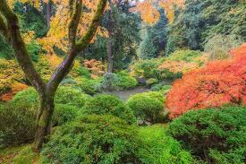 Best Places To See Fall Foliage In The Pacific Northwest