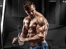 Bodybuilding ultrahd background wallpaper for wide 16:10 5:3 widescreen wuxga wxga wga 4k uhd tv 16:9 4k & 8k ultra hd 2160p download bodybuilding ultrahd wallpaper. Wallpaper Hd Wallpapers Ultra Hd 4k Wallpapers For Desktop Mobiles Santa Banta