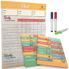 Magnetic Reward Chore Chart Great Family Responsibility Import It All