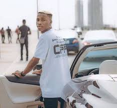 Pankeeroy is one of the comedians in nigerians creating a huge stir on instagram. Lil Frosh Biography Net Worth Girlfriend Career Education And Many More Naijabionet