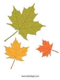 Autunno Foglie Colorate Tuttodisegni Com Foglie Autunnali Foglie Di Autunno Foglie