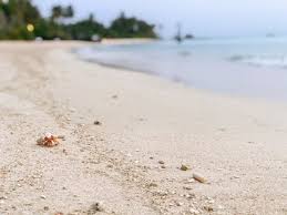 Our trip was in september. Fairmont Maldives Sirru Fen Fushi 200 Meter Long Swimming Pool Picture Of Fairmont Maldives Sirru Fen Fushi Shaviyani Atoll Tripadvisor