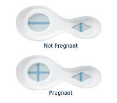 1 X Clearblue Pregnancy Test Combo Pack Double Check Date Testing Kit Home Health Uk