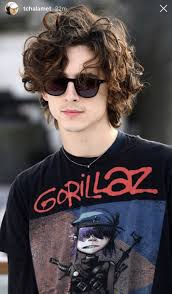 See more ideas about mens hairstyles, hair styles, long hair styles men. Timothee Chalamet Curly Hair Men Timothee Chalamet Long Hair Styles Men