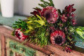 We did not find results for: Shop Protea Bouquets Online Pretoria Protea Groves