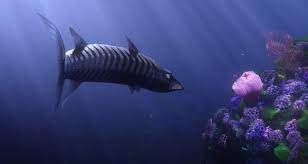 The main focus of mechanical this year was the design and manufacturing of our next generation auv, nemo. Stuffed Justice Finding Nemo Easter Egg In Toy Story 4 Mickeyblog Com